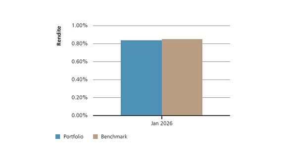 Diagramm Performance